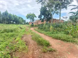 Prime Land for Sale – Mukono Katosi