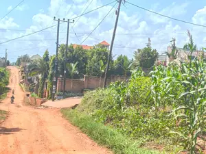 Hot Plot for Sale – Sonde Hill View Estate