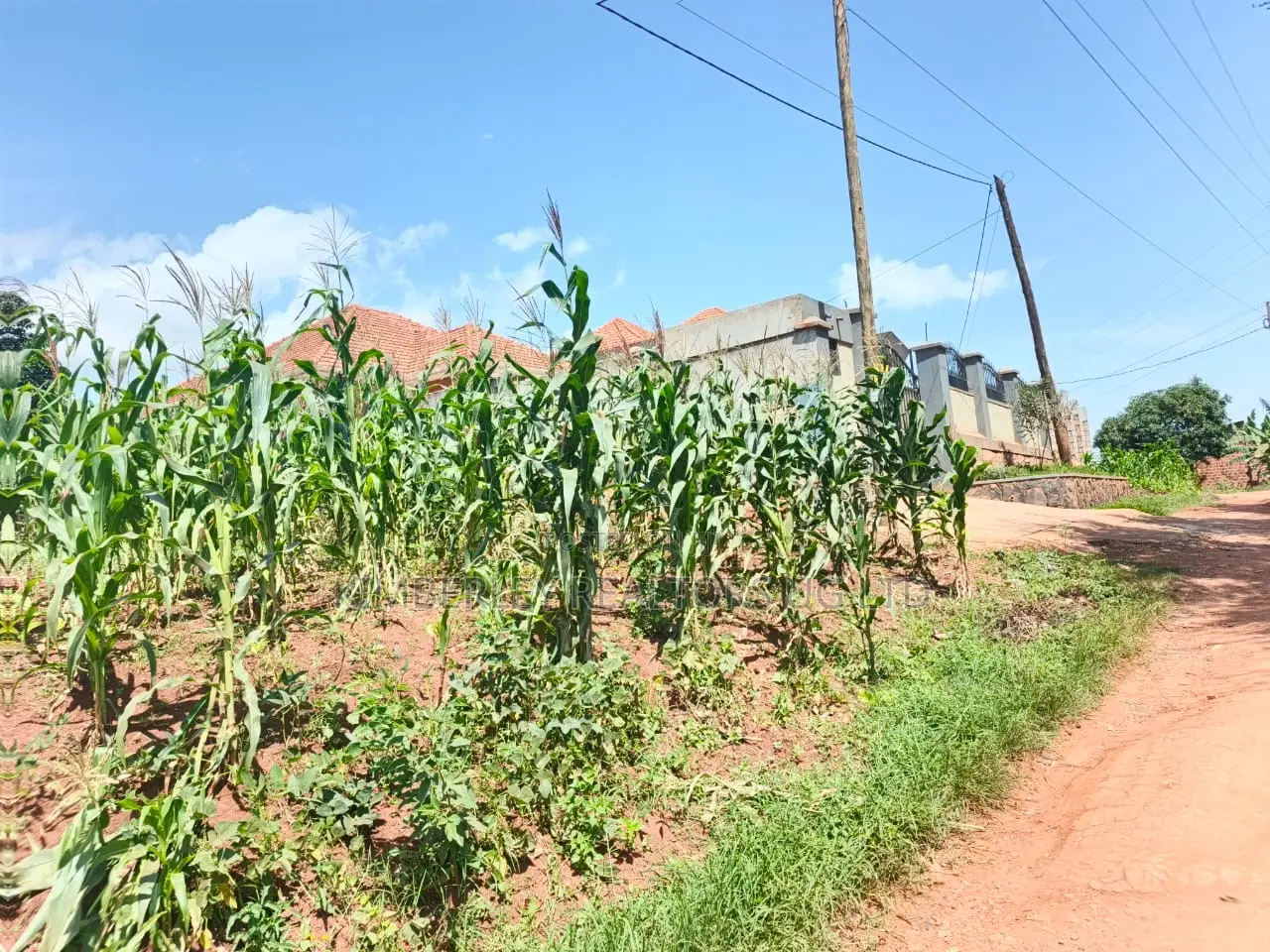 Hot Plot for Sale – Sonde Hill View Estate