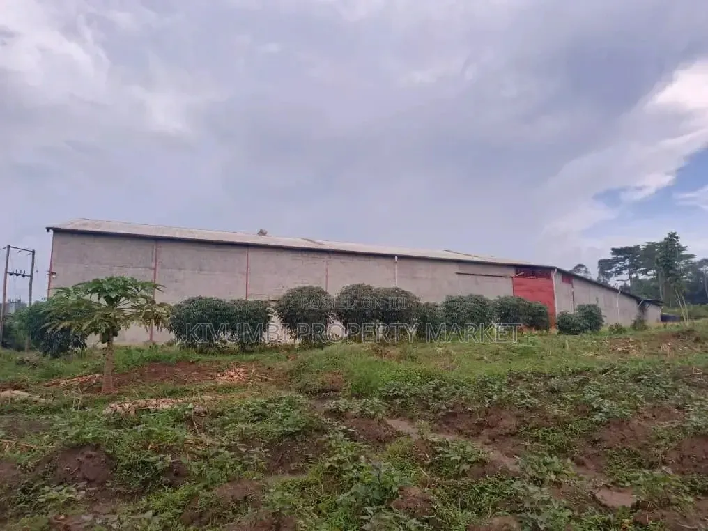 Plastic Recycling Company on Sale.