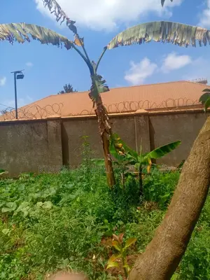  Plot for Sale – Kisasi Kulambiro