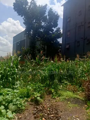  Plot for Sale – Kisasi Kulambiro