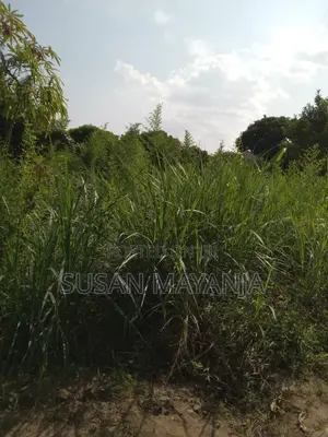Half Acre on Hill in Lutembe