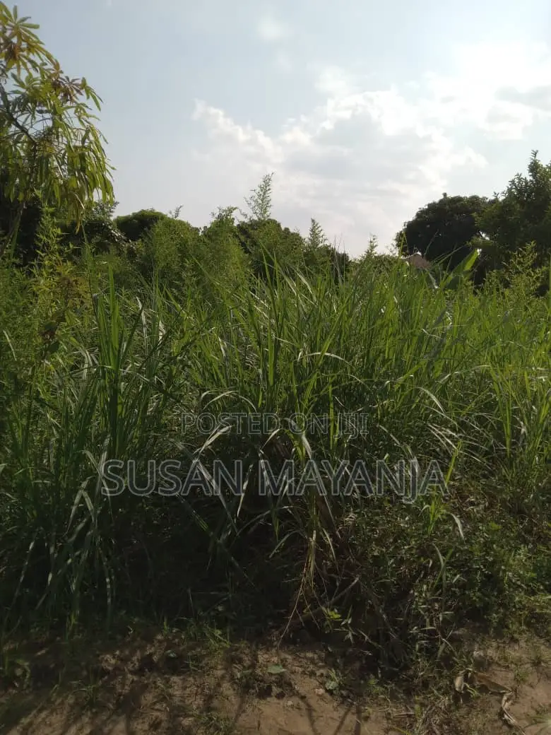 Half Acre on Hill in Lutembe