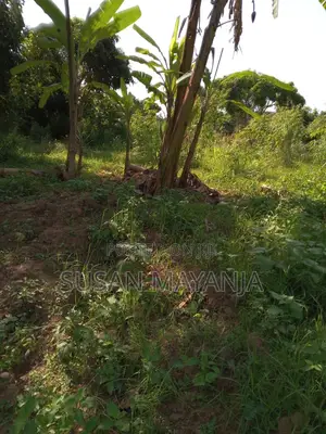 Half Acre on Hill in Lutembe