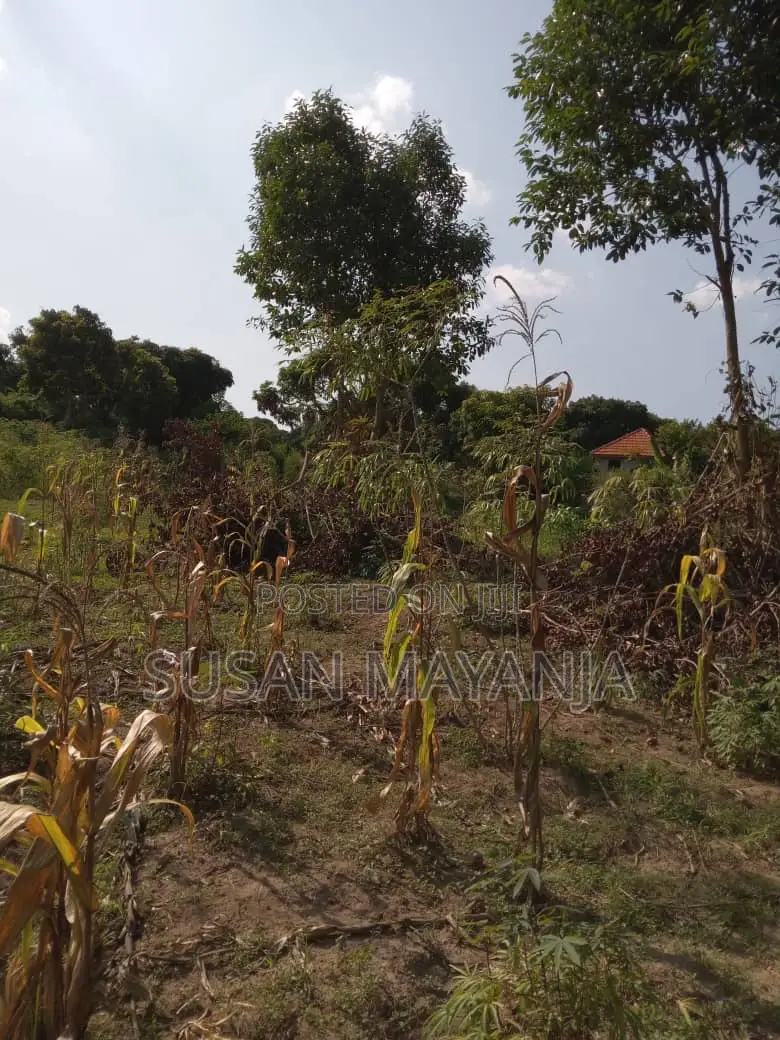 Half Acre on Hill in Lutembe
