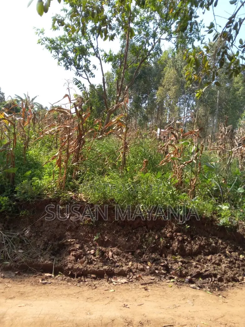 Half Acre on Hill in Lutembe