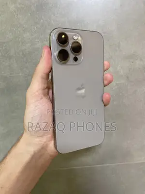 Apple iPhone 15 Pro Max 256 GB Gray