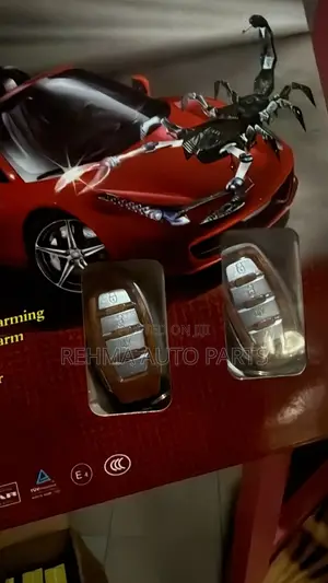 Car Alarm System