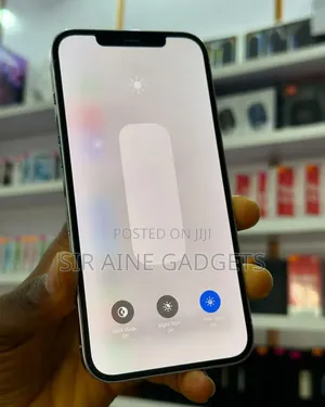 Apple iPhone 13 Pro Max 256 GB White