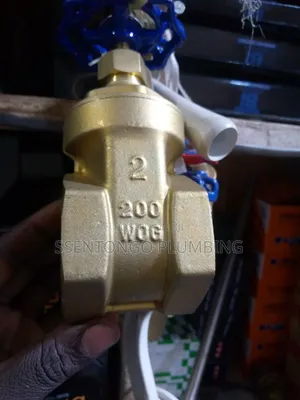 Gi Gate Valves Size 63 2 Inch Pegle Originally(All Sizes)