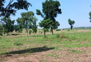 Fertile 640acres for Rent at Busunju~Sekanyonyi Hoima Road.