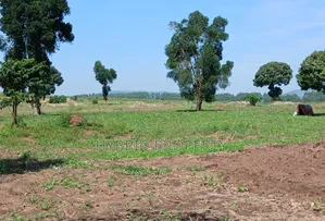 Fertile 640acres for Rent at Busunju~Sekanyonyi Hoima Road.