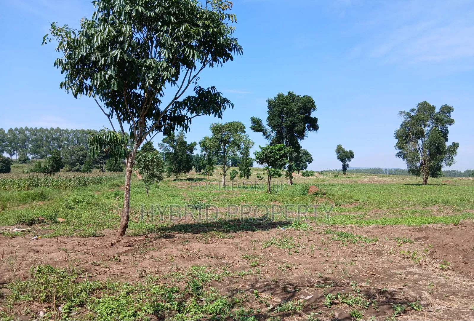 Fertile 640acres for Rent at Busunju~Sekanyonyi Hoima Road.