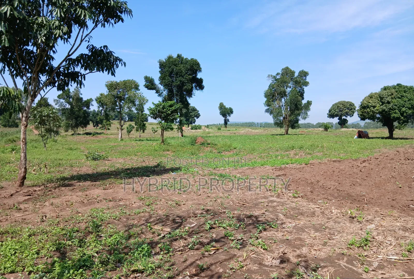 Fertile 640acres for Rent at Busunju~Sekanyonyi Hoima Road.