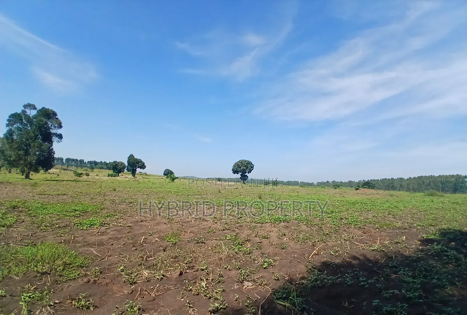 Fertile 640acres for Rent at Busunju~Sekanyonyi Hoima Road.