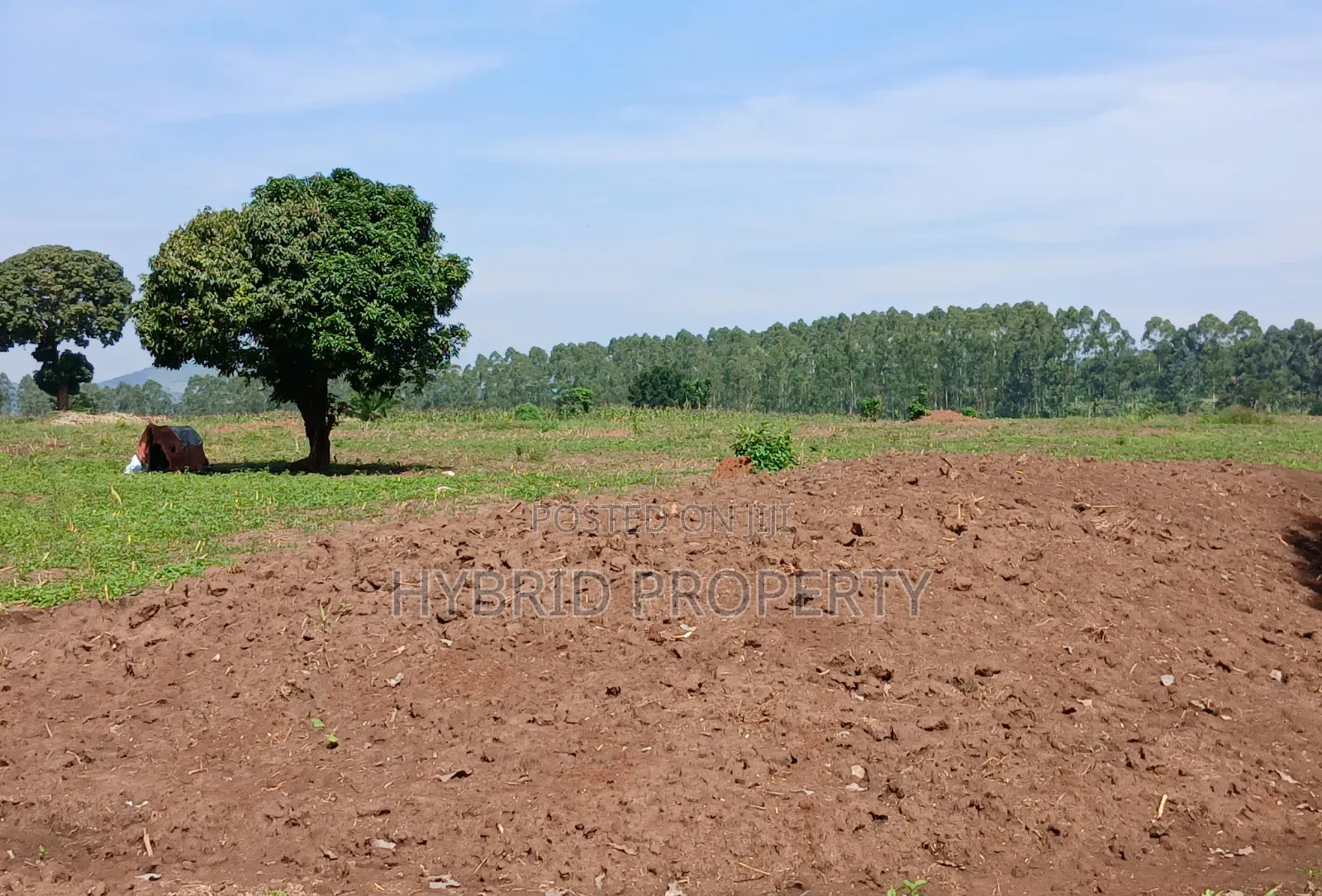 Fertile 640acres for Rent at Busunju~Sekanyonyi Hoima Road.