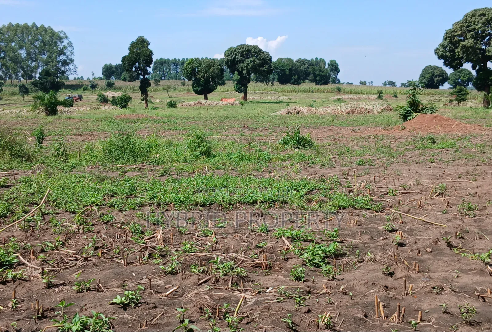 Fertile 640acres for Rent at Busunju~Sekanyonyi Hoima Road.