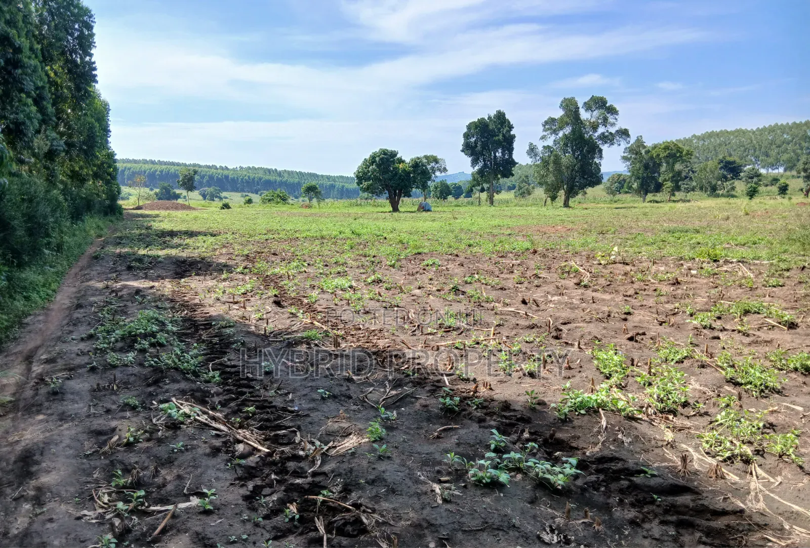 Fertile 640acres for Rent at Busunju~Sekanyonyi Hoima Road.
