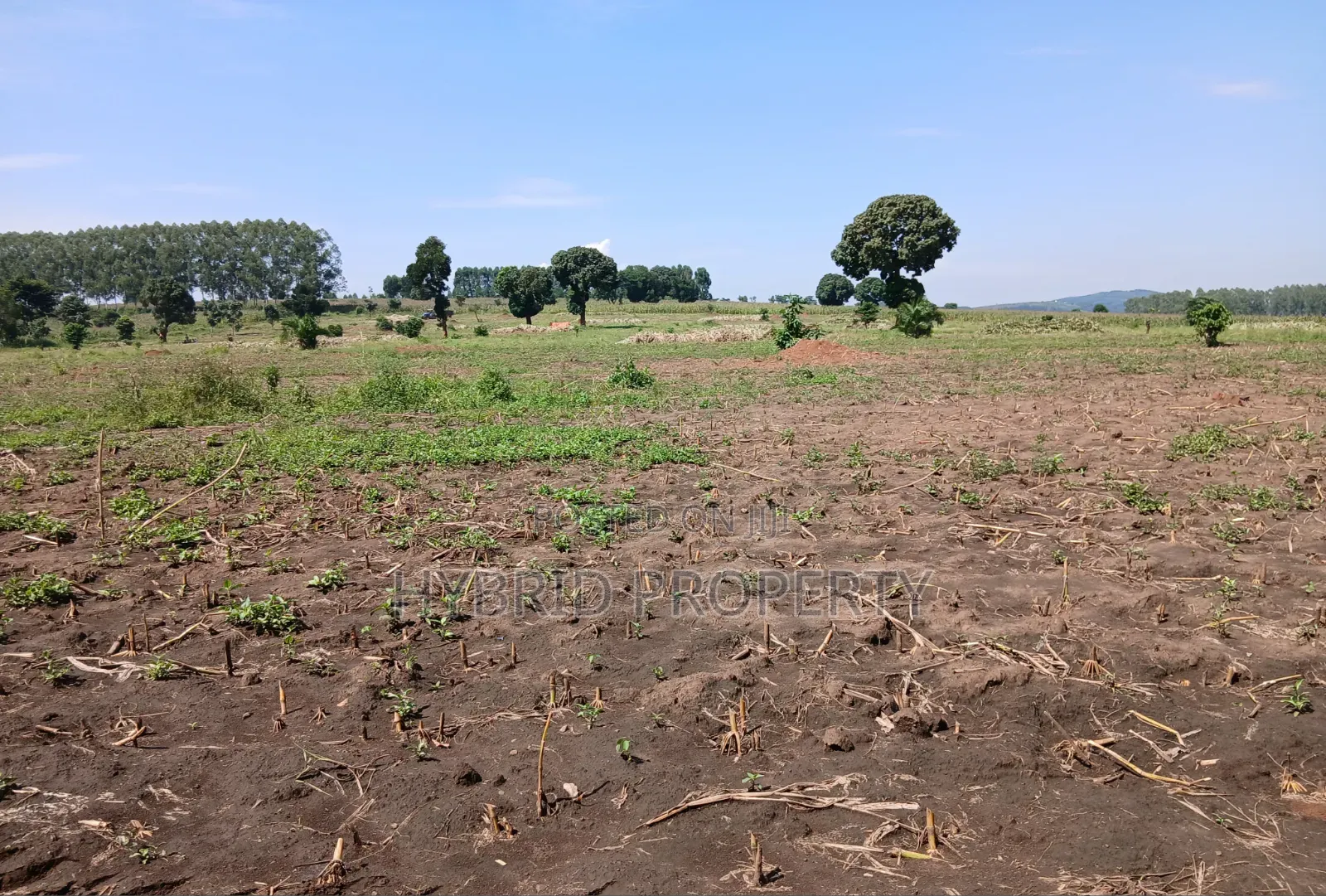 Fertile 640acres for Rent at Busunju~Sekanyonyi Hoima Road.