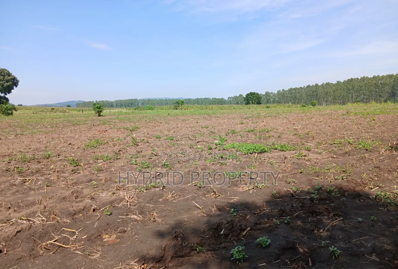 Fertile 640acres for Rent at Busunju~Sekanyonyi Hoima Road.