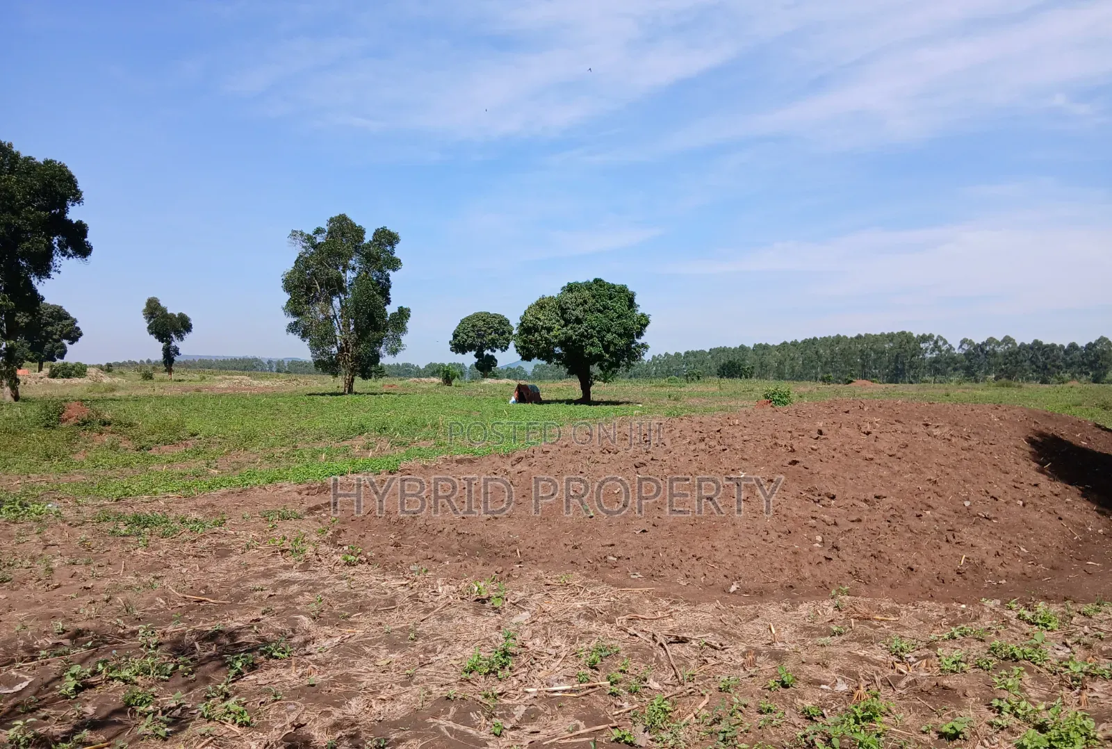 Fertile 640acres for Rent at Busunju~Sekanyonyi Hoima Road.