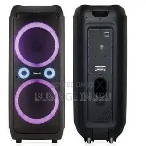 Brand New 12 “ Saachi Speaker With Dual Microphones and Amplified