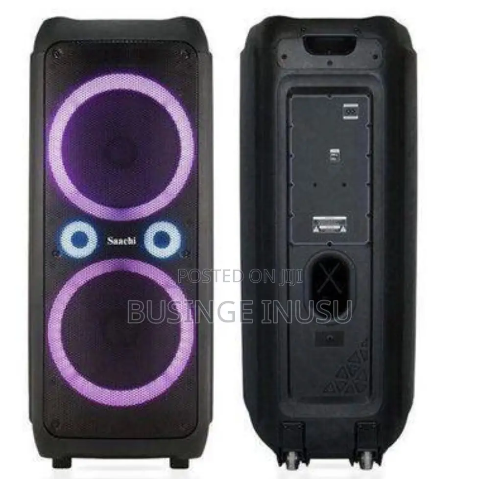 Brand New 12 “ Saachi Speaker With Dual Microphones and Amplified