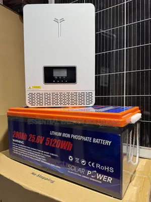 3200w 24v Hybride Solar Inverter