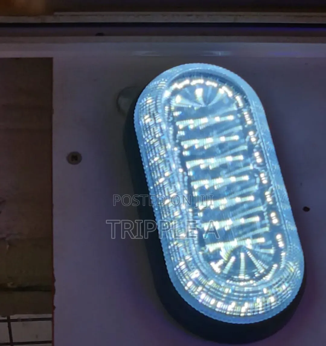 Modern Oval Bulkhead Led Wall Light