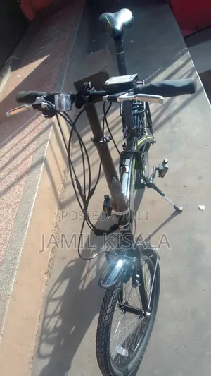 Electric/ Manual Adult Bike