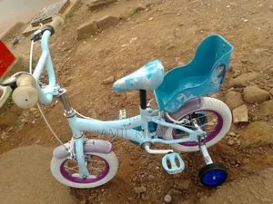 Frozen Kids Bike