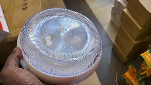 Ceiling Lights