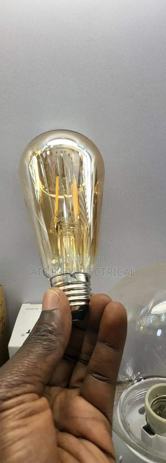 Filament Lamp Bulb