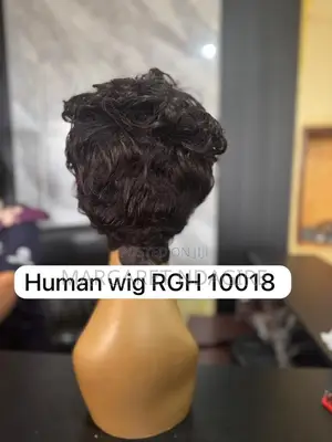 Human and Synthetic Wigs