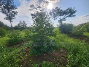 Fenced Farm Land in Bugiri