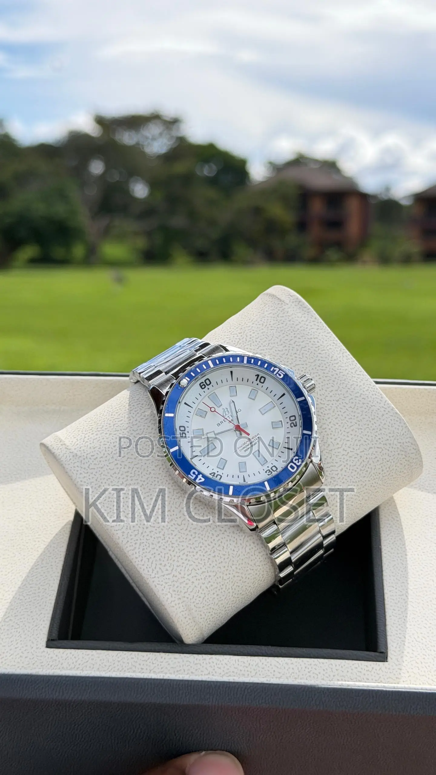 Britling Watch