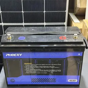 100ah 12v Phoeky Lithium Ion Phosphate Battery