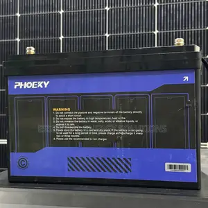 100ah 12v Phoeky Lithium Ion Phosphate Battery