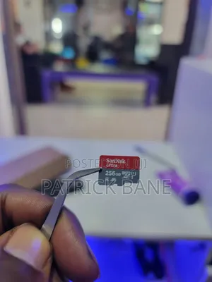Original Sandisk Sd Memory Card 256gb