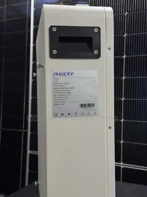 2.5kwh 24v Lithium Phosphate Battery