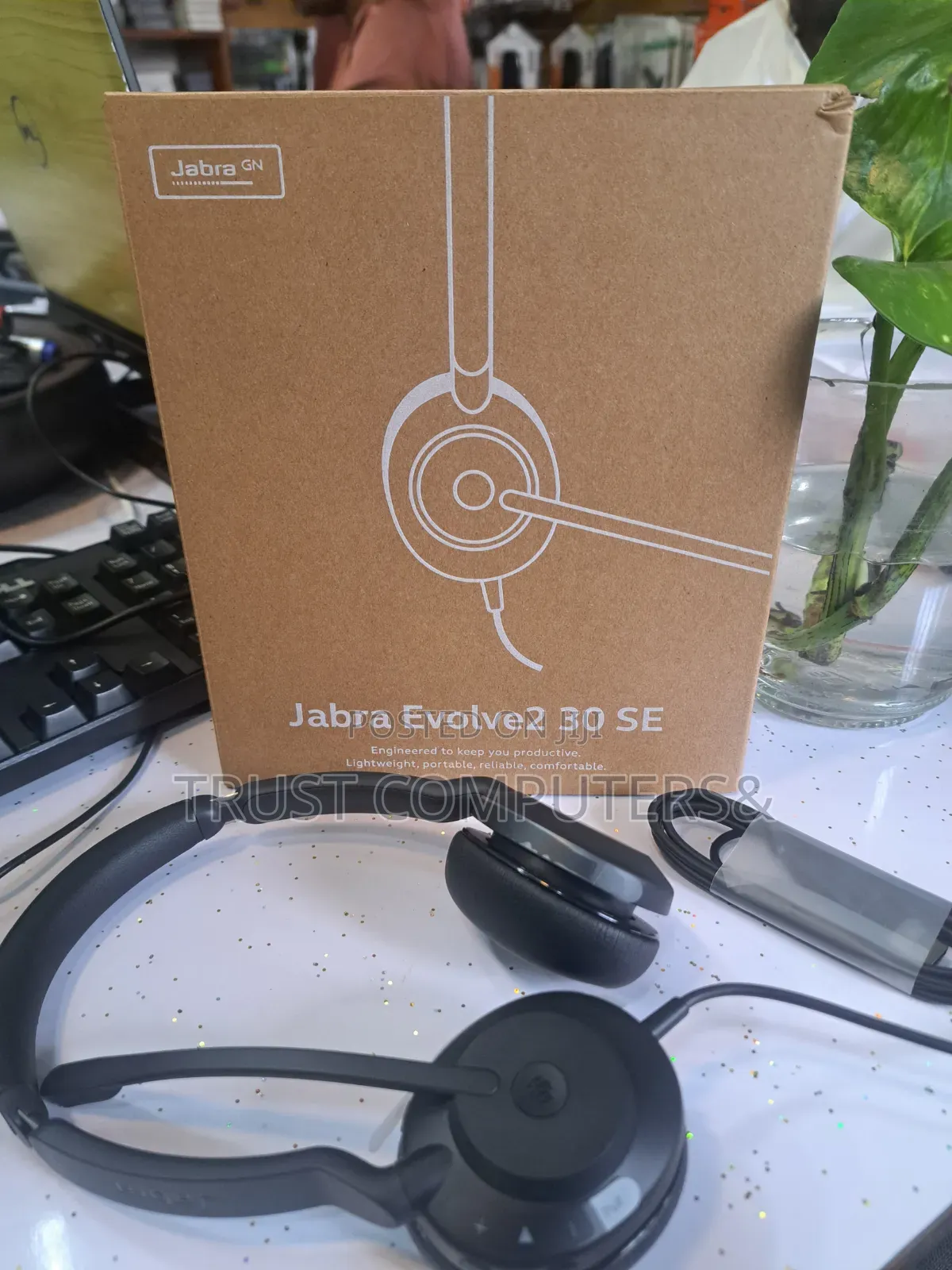 Jabra Evolve2 30 Se Headset