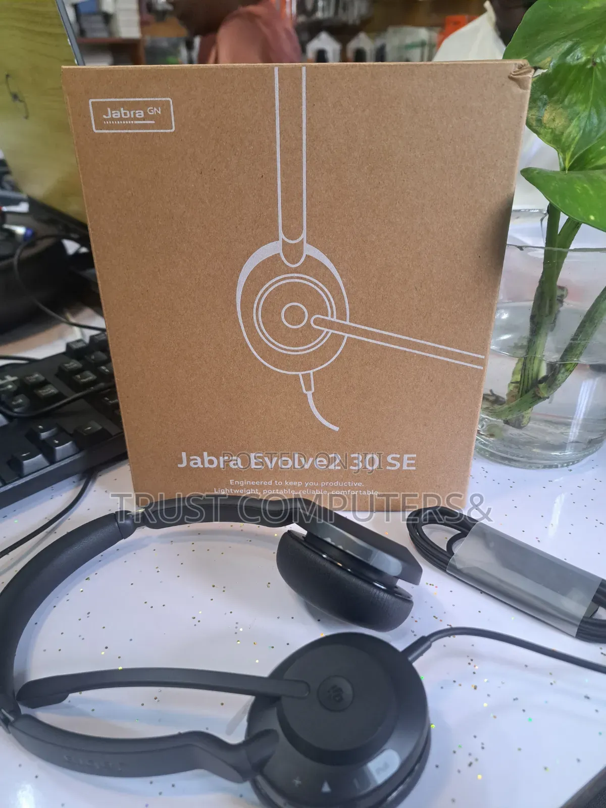 Jabra Evolve2 30 Se Headset