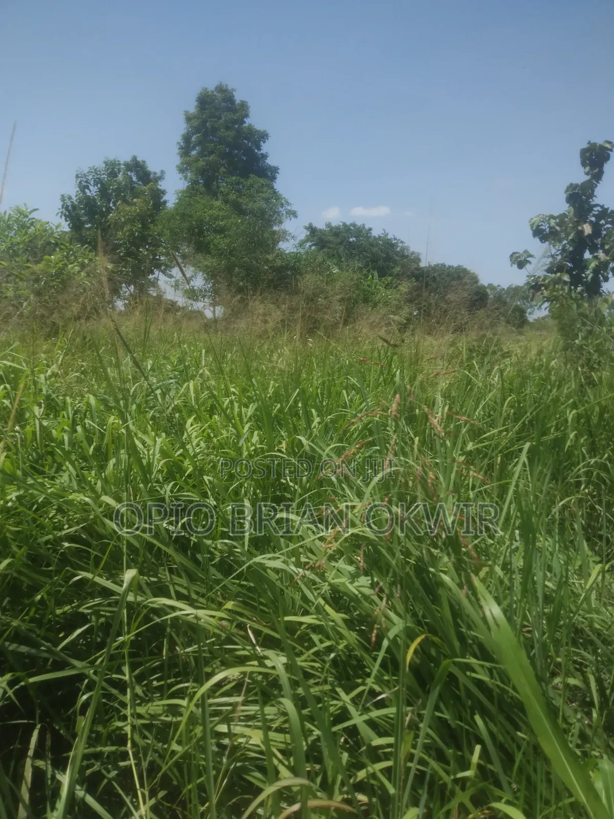 Land in Koro Abili Near Power Sub-Station