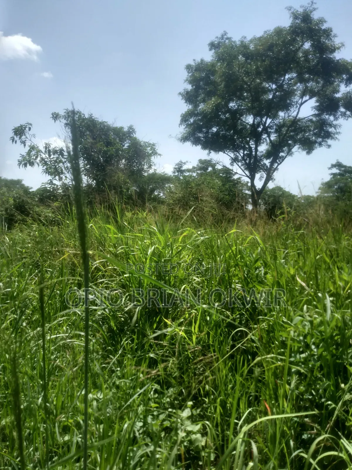 Land in Koro Abili Near Power Sub-Station