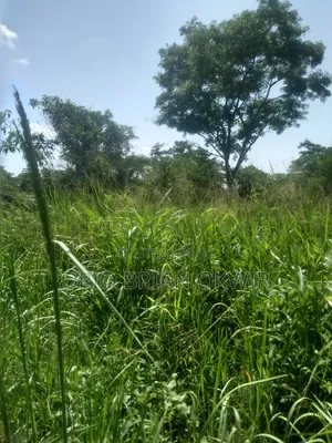 Land in Koro Abili Near Power Sub-Station
