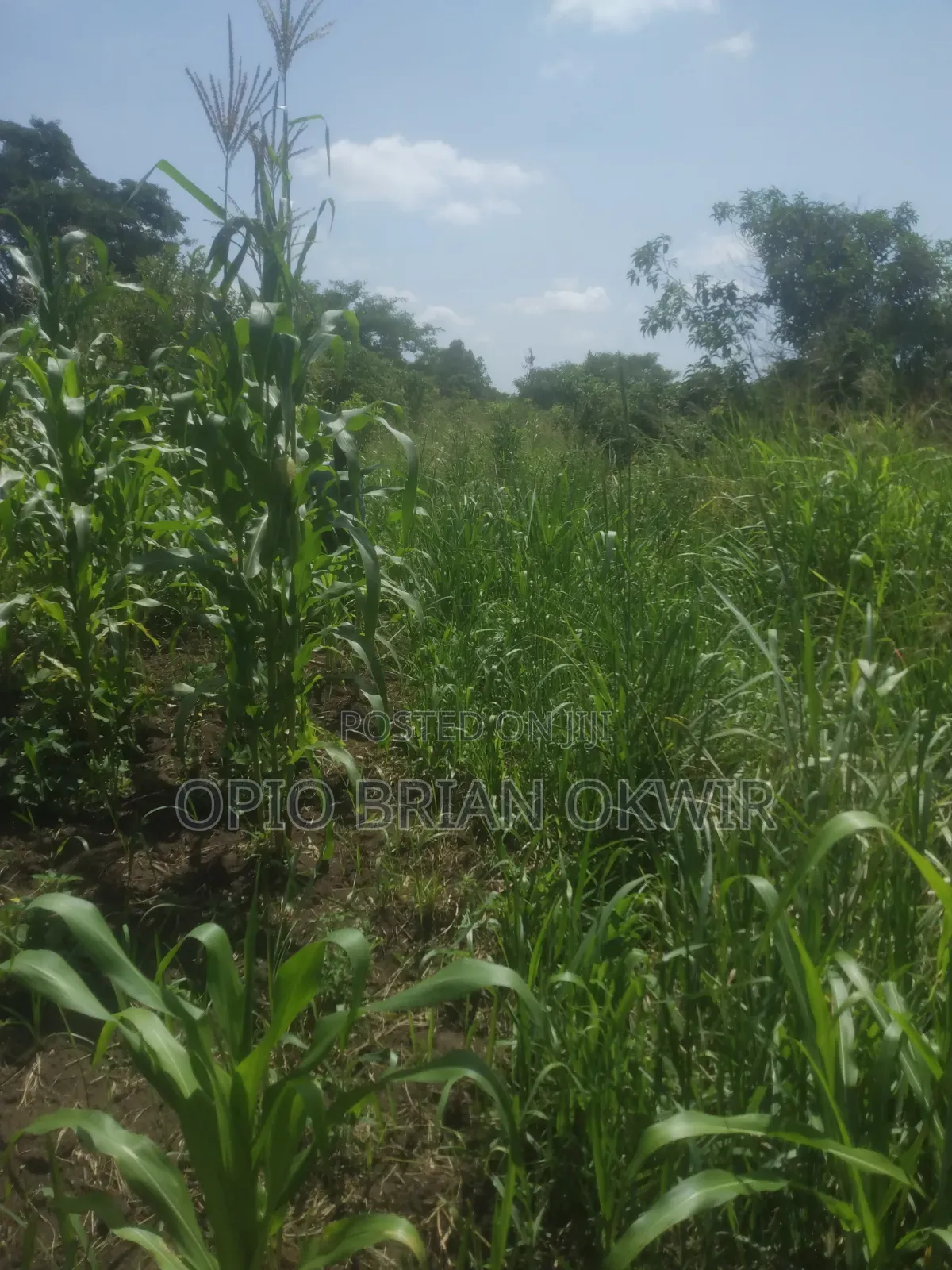 Land in Koro Abili Near Power Sub-Station