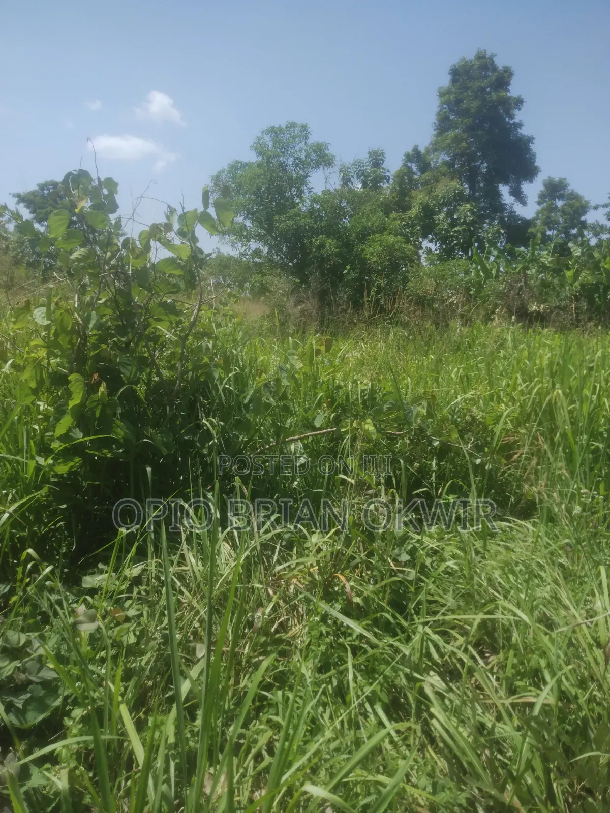 Land in Koro Abili Near Power Sub-Station