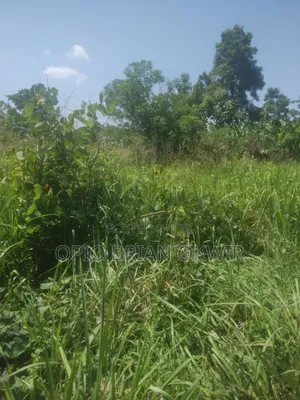 Land in Koro Abili Near Power Sub-Station