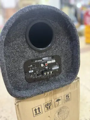 Car Disen Subwoofers